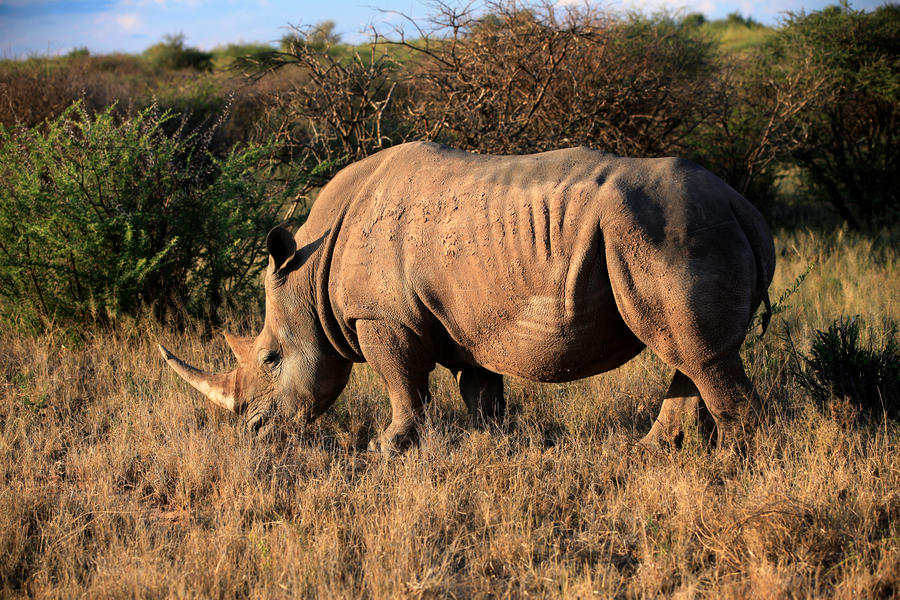 Flugreise nach Namibia
