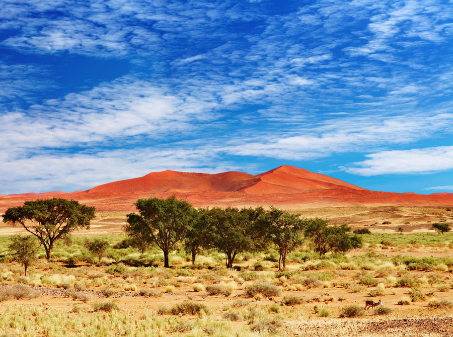 Namib Desert