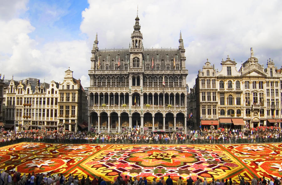 Flower Carpet - central view