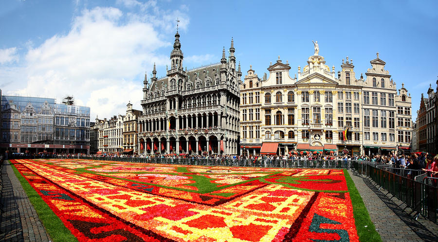 Brussel Turkish flower carpet