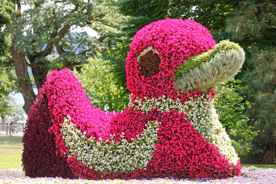Shrubs, bushes in shape of animals, Isle Mainau