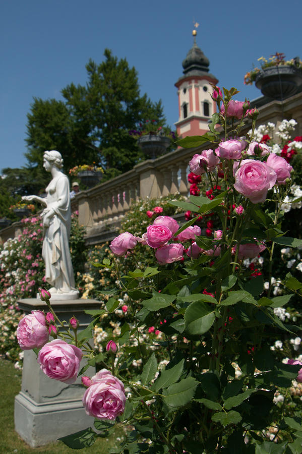 Flower island Mainau near Konstanz