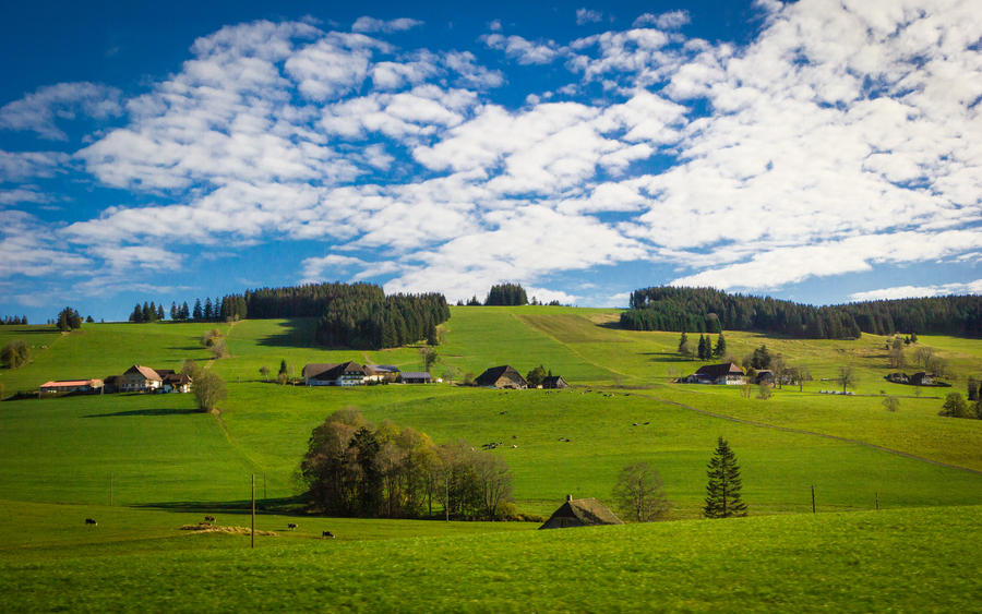 Black forrest rolling hills, Breisach, Germany