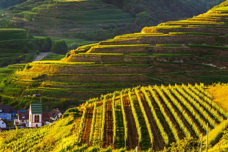 Scenic mountain panorama with vineyards and old picturesque town in Germany at sunset, Black forest, Kaiserstuhl, Oberbergen.Travel and wine-making background.