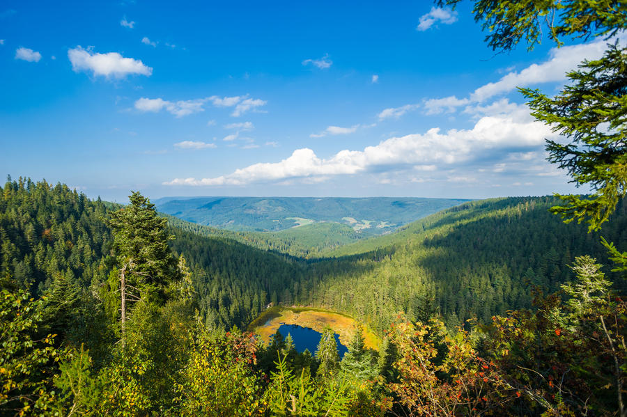 The Huzenbacher lake near Baiersbronn, Black Forest, Baden-Wurttemberg, Germany, Europe