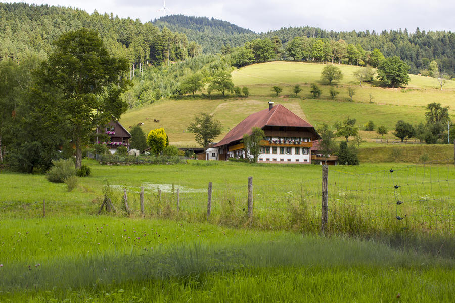 Schwarzwald – Elsass – Straßburg