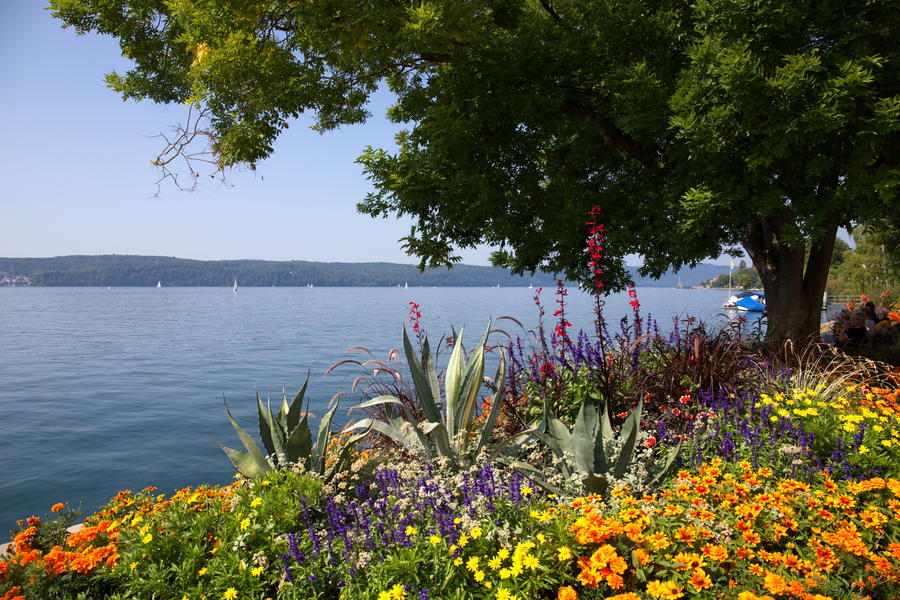 Der Bodensee - die Perle am Alpenrand