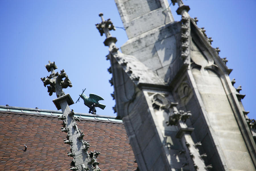 Frühling im Schwaben Ländle