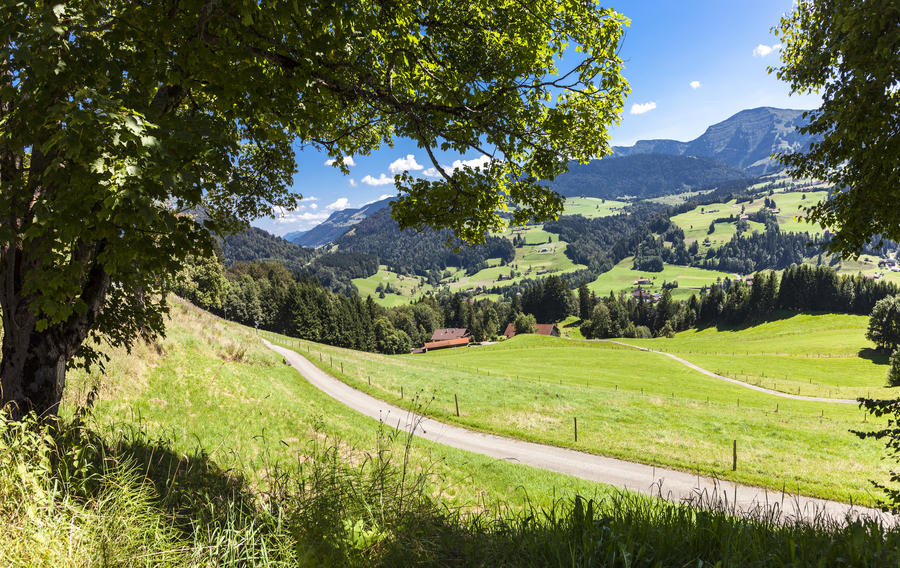 Alpine Panorama near Oberstaufen, Region Oberallgaeu, Bavaria, Germany