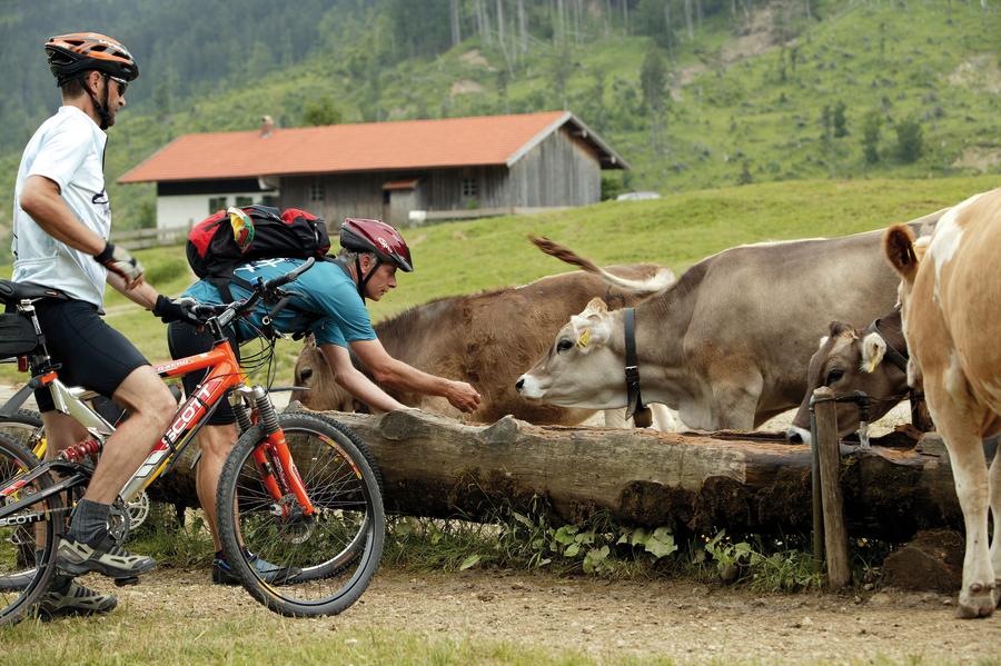 Radsport, Radtour, Bayern, Allgäu, Deutschland