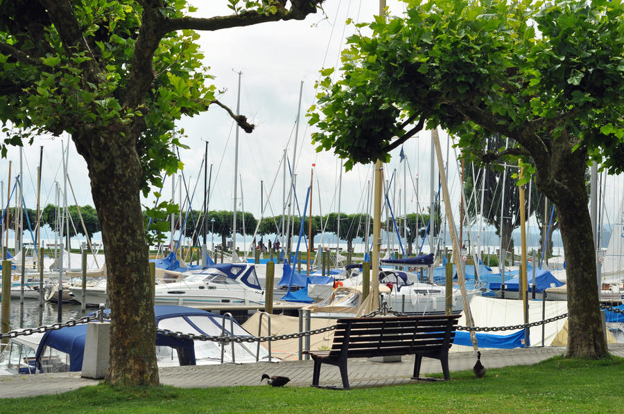 Idyll at the port of Uhldingen at lake constance