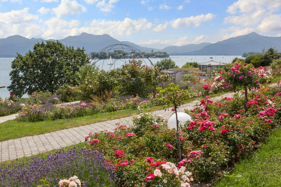 beautiful promenade with lavender and roses, lake chiemsee, bavarian landscape