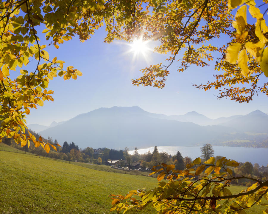 mountain view through golden beech leaves and lake tegernsee, bavaria