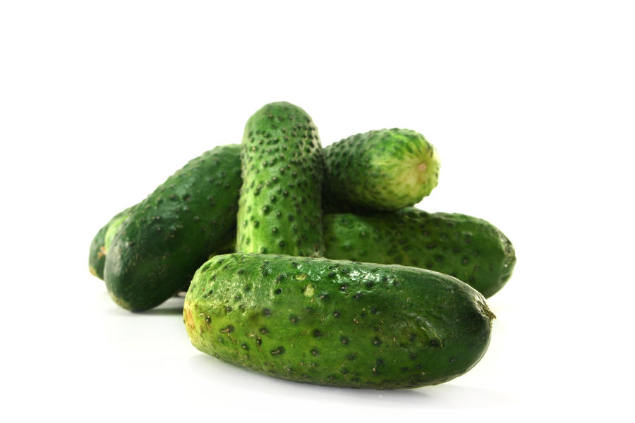 Pickling cucumber on a white background