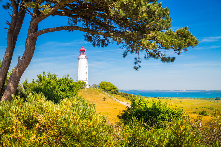 Classic view of famous Lighthouse Dornbusch on the beautiful island Hiddensee with blooming flowers in summer, Baltic Sea, Mecklenburg-Vorpommern, Germany