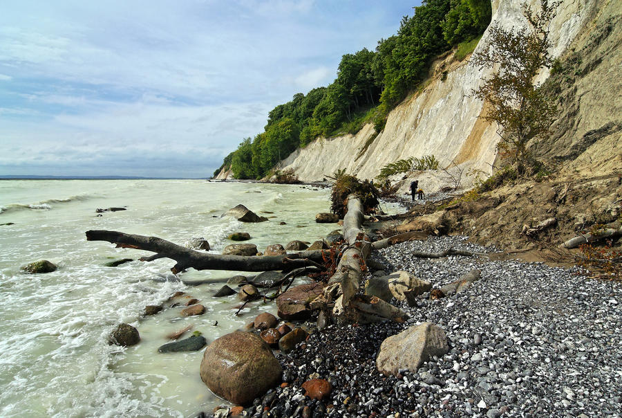 The famous white Chalk Cliffs called &quot;Kreidekueste&quot; at Ruegen, Baltic Sea, Germany