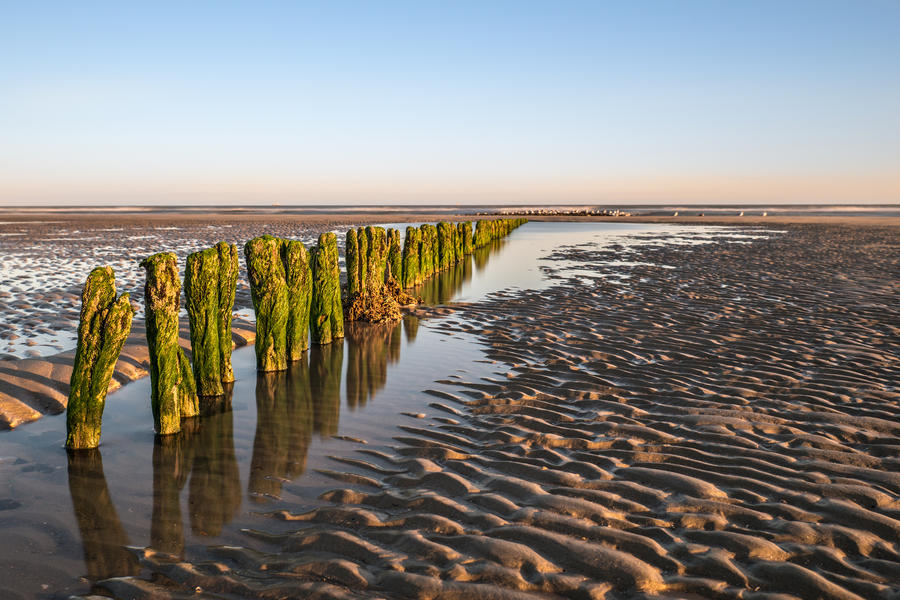 Groynes on Norderney - Germany