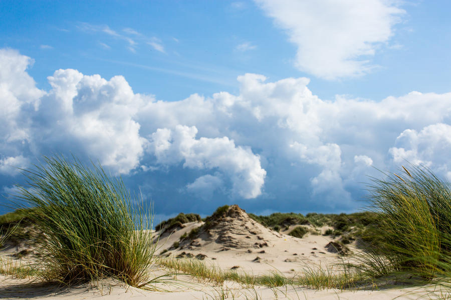 Clouds and wind over dunes of norderney  wild beach nature