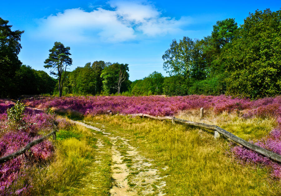 Radtouren zwischen Heide und Elbe