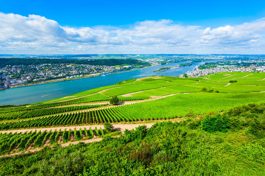 Vineyards, Rudesheim am Rhein and Bingen am Rhein town aerial panoramic view in the Rhine Valley, Germany