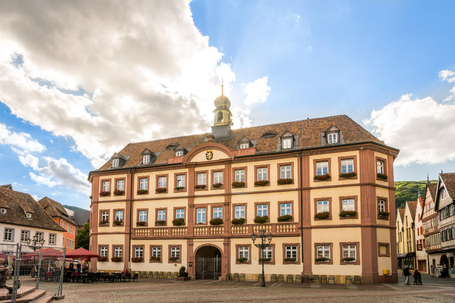 Mandelblüte an der Deutschen Weinstraße