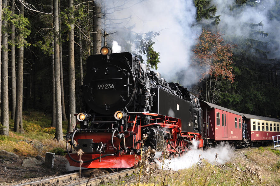 Steam engine train in Harz Region