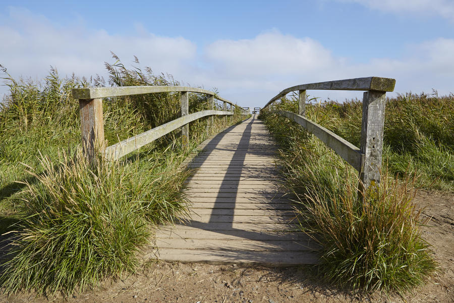 A small wooden bridge in the landscape leads over a drainage ditch on the isle Amrum (Germany, Schleswig-Holstein, North Frisia).