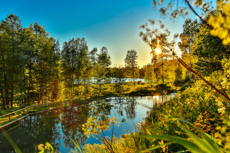 Nature in South Estonia Summer