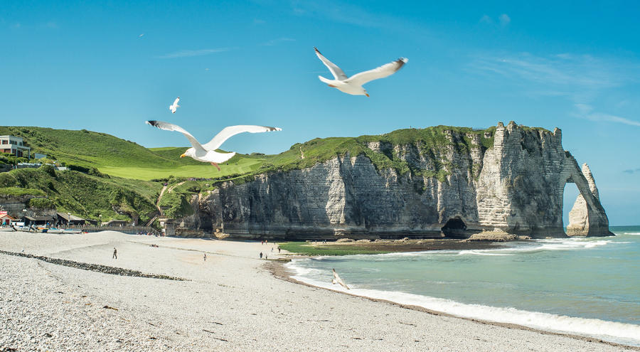 Etretat Aval cliff, rocks and natural arch withe seagulls. Normandy, France, Europe.