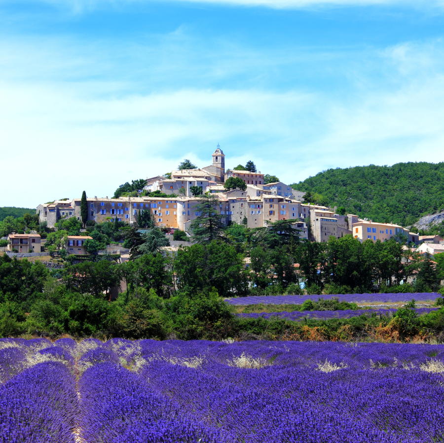 summer lavender field and the old town of Banon in Provence, France