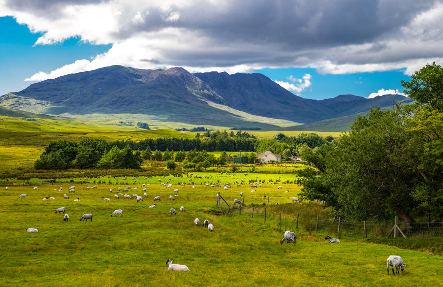 Ireland, Calway county, landscape of the Connemara area,