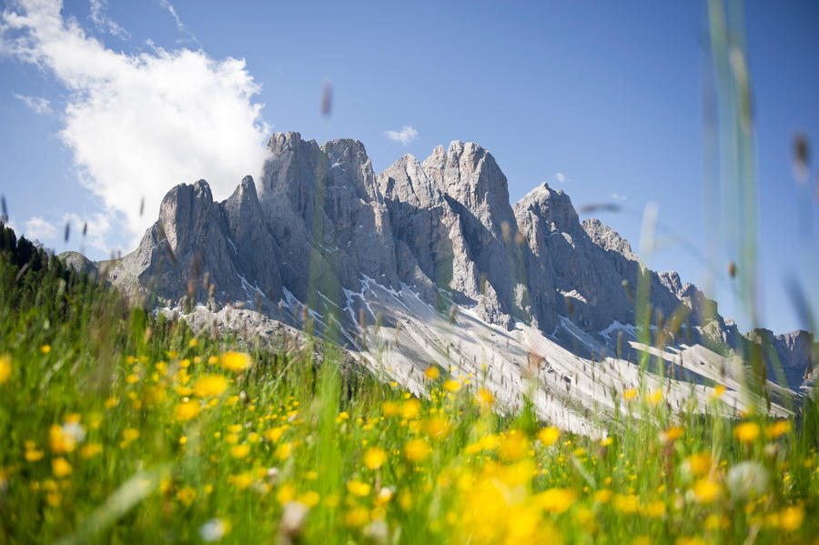 Südtirol mit dem Rad entdecken
