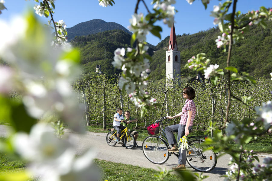 Radwandern in Südtirol - Vom Reschenpass zum Gardasee