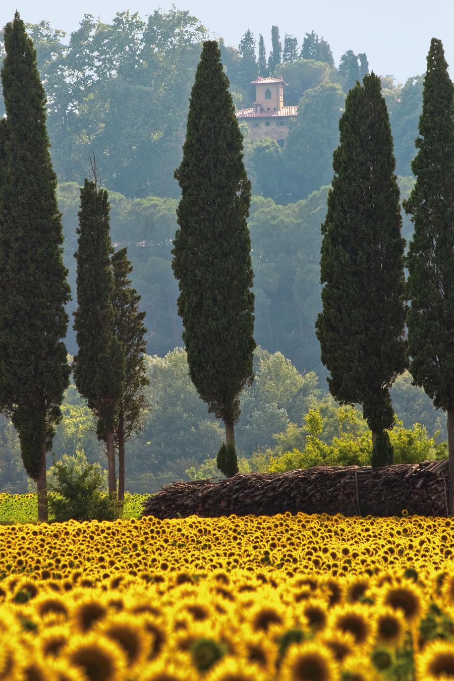 Toskana – Landschaft – Kultur – Genuss
