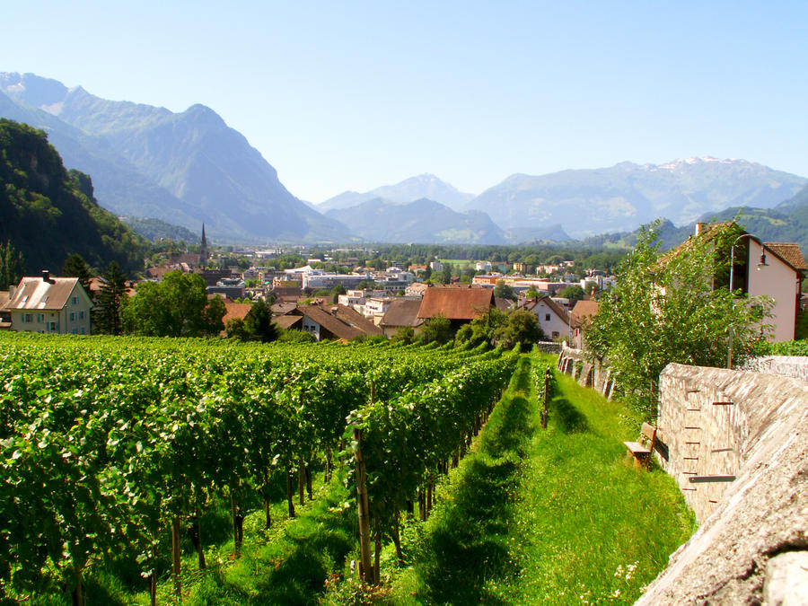 Vineyard Liechtenstein