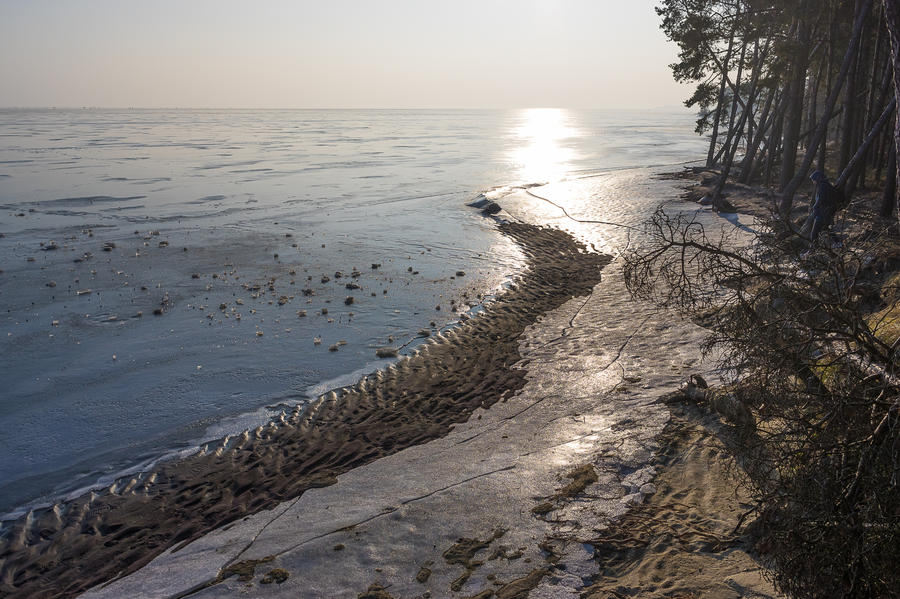 Frozen Curonian Lagoon