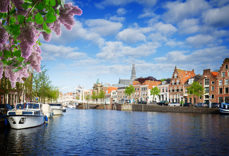 Spaarne river and old town in Haarlem, Netherlands with lilac flowers