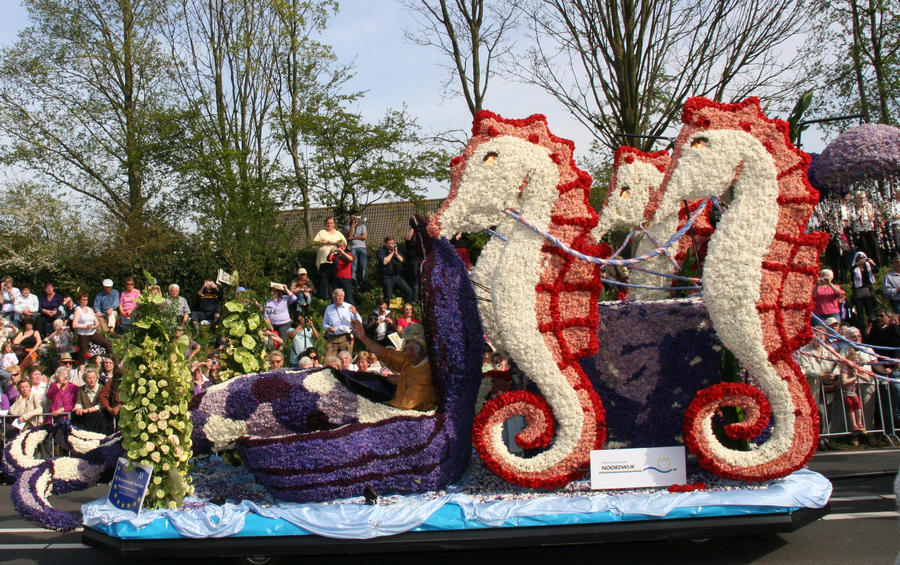 Keukenhof und die Tulpenfelder