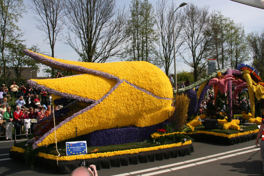 Keukenhof und die Tulpenfelder