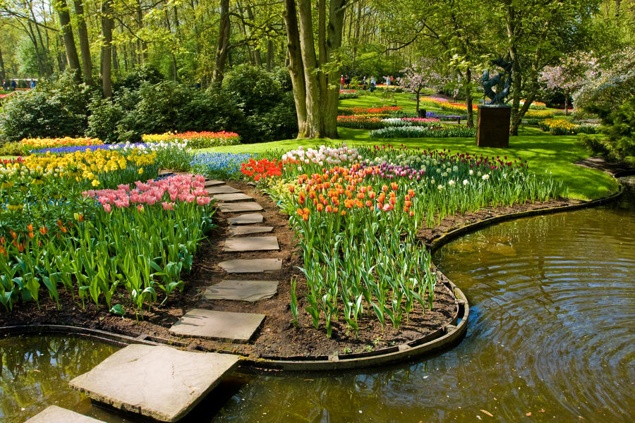 Keukenhof - Largest flower garden in Europe - Holland