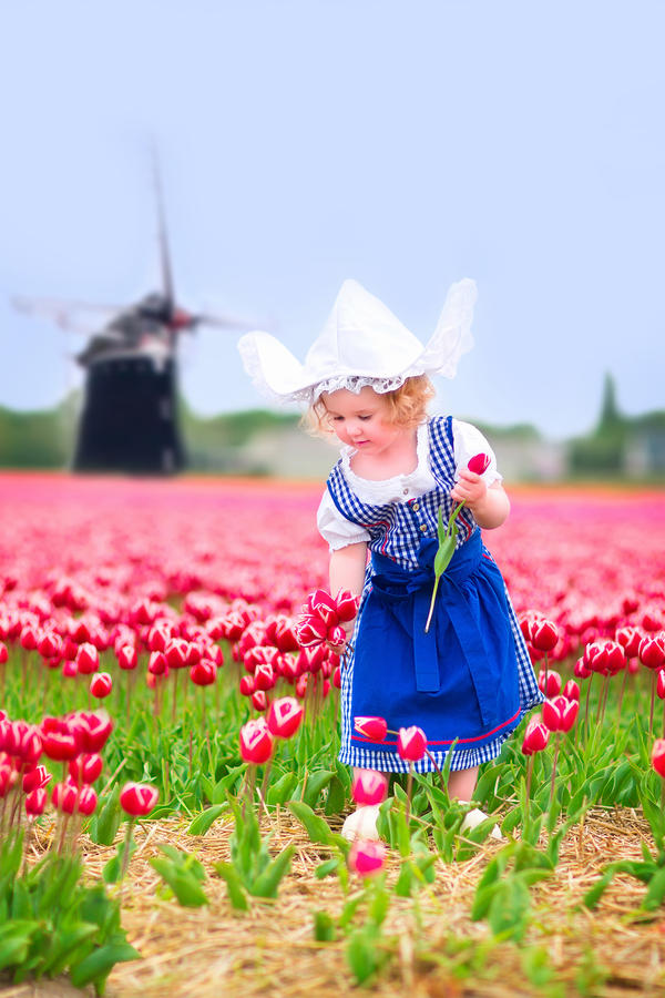 Adorable curly toddler girl wearing Dutch traditional national costume dress and hat playing in a field of blooming tulips next to a windmill in Amsterdam region, Holland, Netherlands