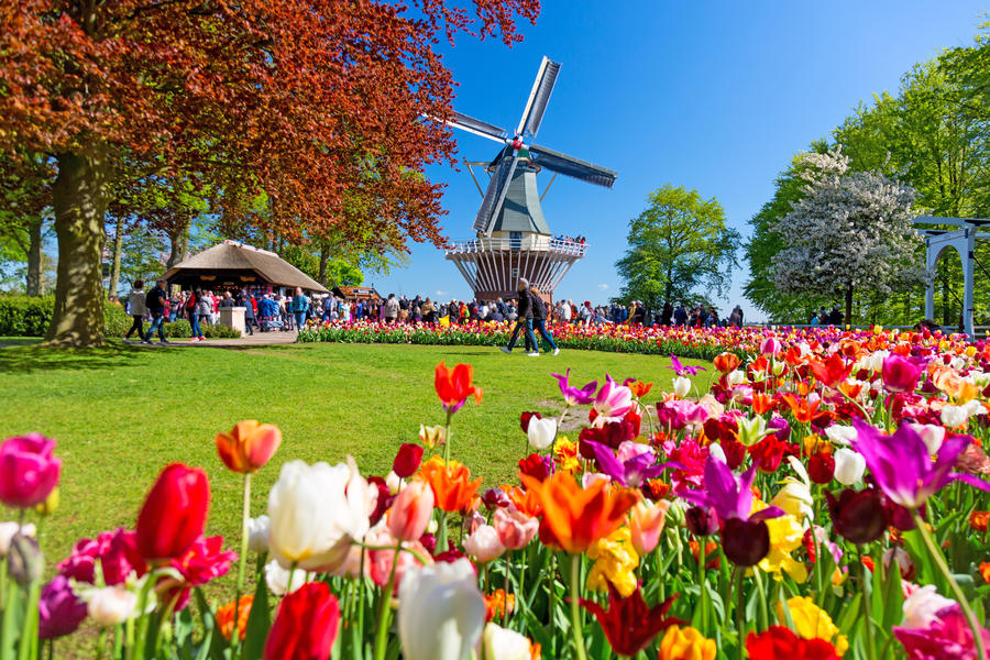 Ostern zur Tulpenblüte in Holland