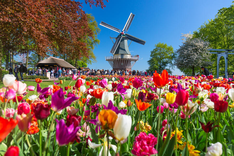 Ostern zur Tulpenblüte in Holland