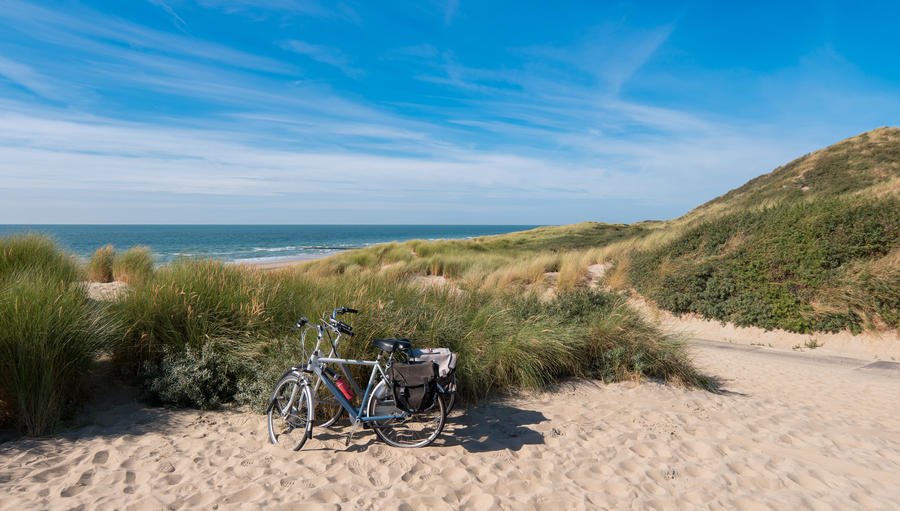 Bicycle tour at the North Sea dunes in Renesse, Netherlands