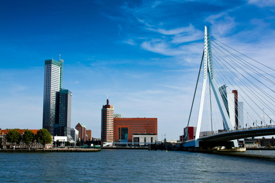 rotterdam panorama with erasmus bridge