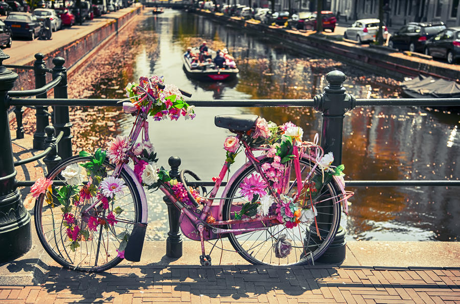 bike by bridge in the Hague