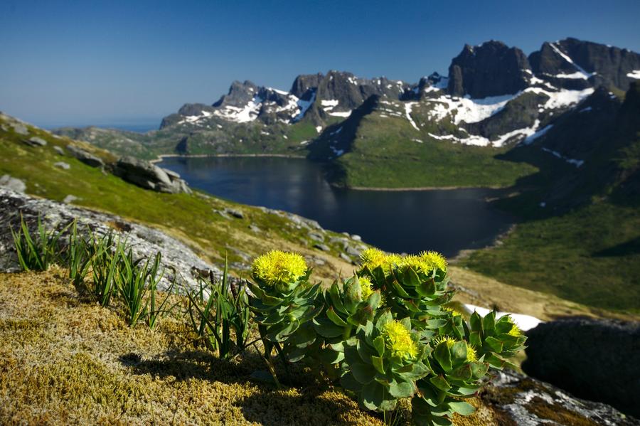 Lofoten mountain lake