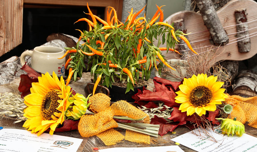 „4. Überraschungsfahrt in die Berge“