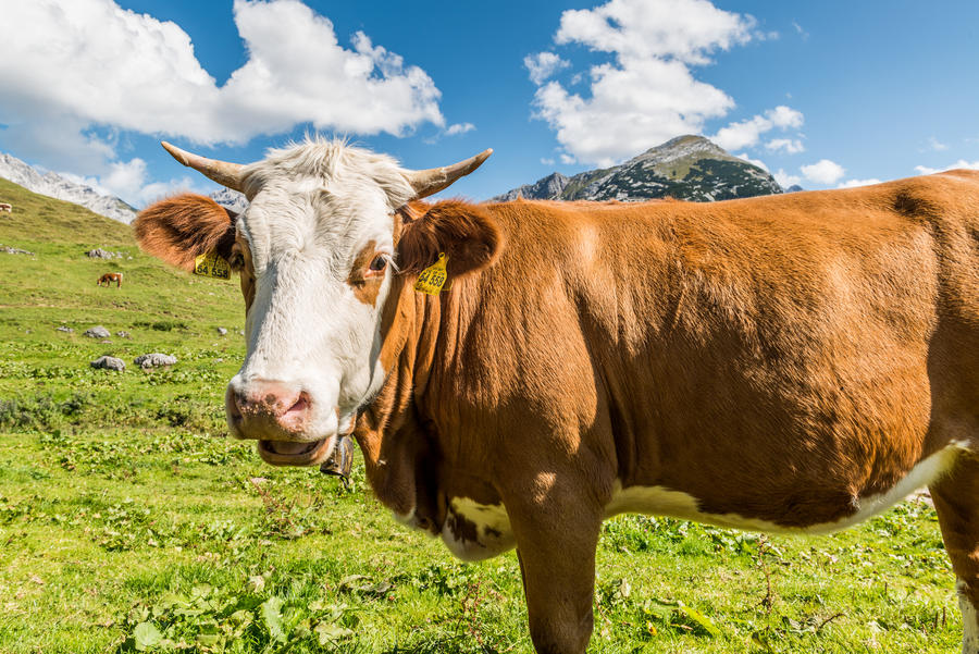 Erholung in Altenmarkt – Salzburger Land