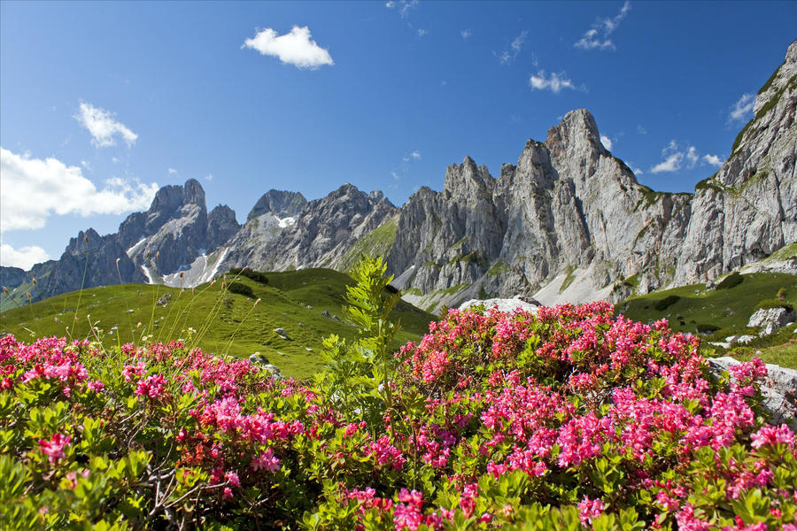 Sommerurlaub in Filzmoos